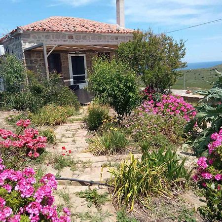 Apartament Cozy House With Amazing Sea View Kaminia  Zewnętrze zdjęcie