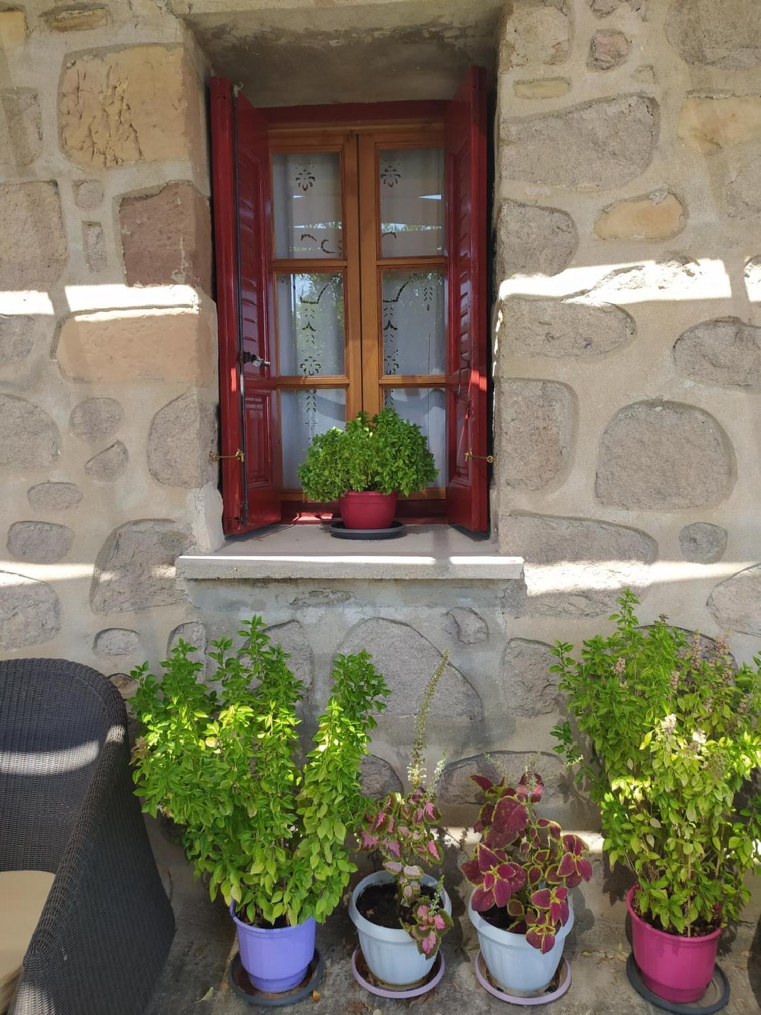 Apartament Cozy House With Amazing Sea View Kaminia  Zewnętrze zdjęcie